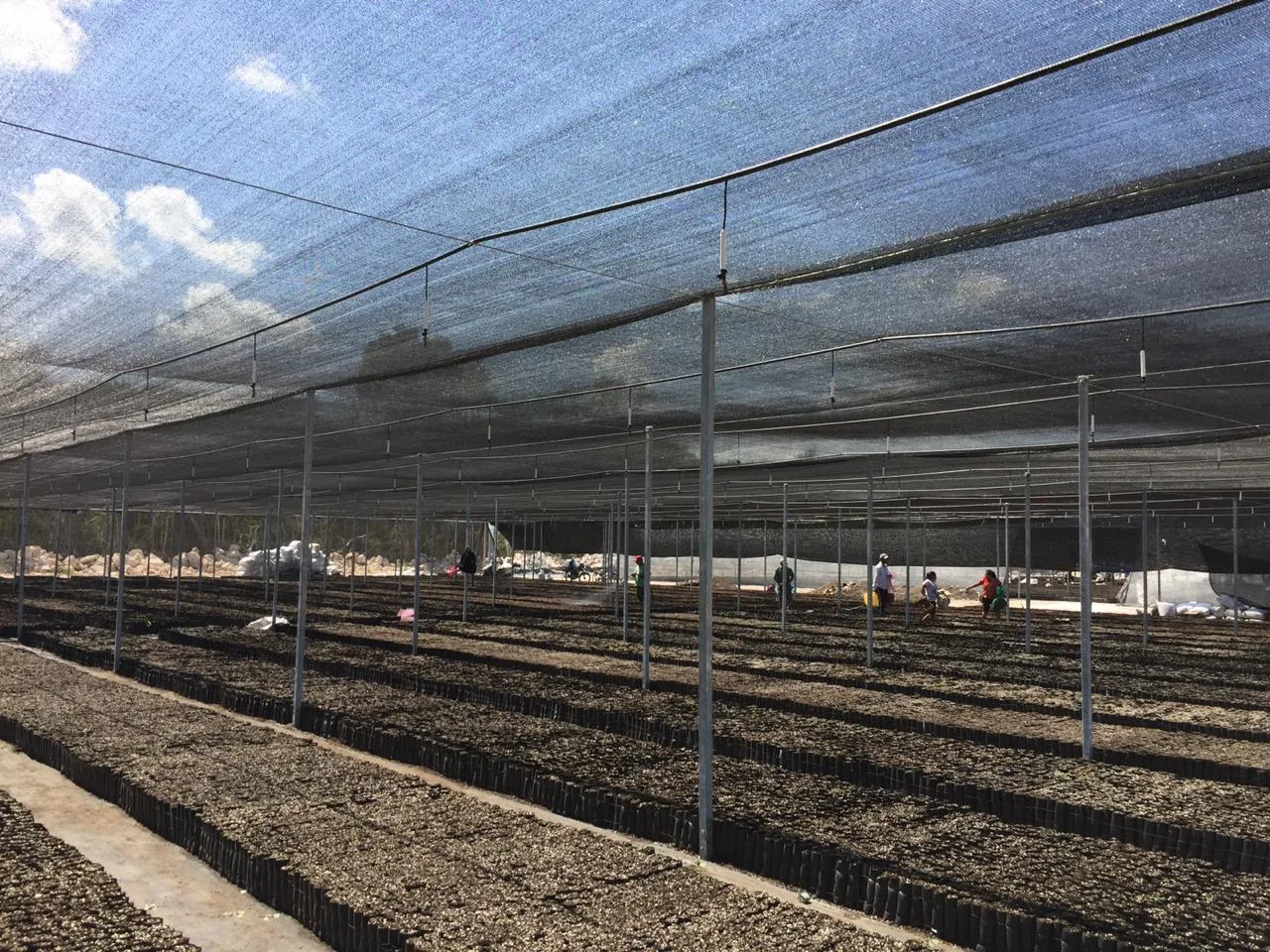 Malla Sombra Negra 50% – Rollo 3.6 x 100 m